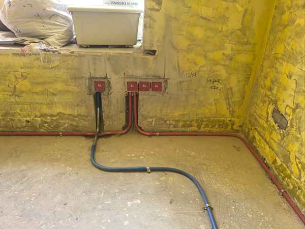 知义有趣的小黄