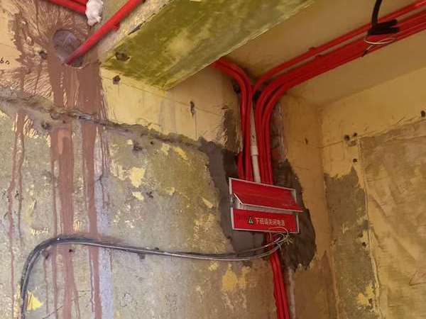 在庐山晒太阳的烤串