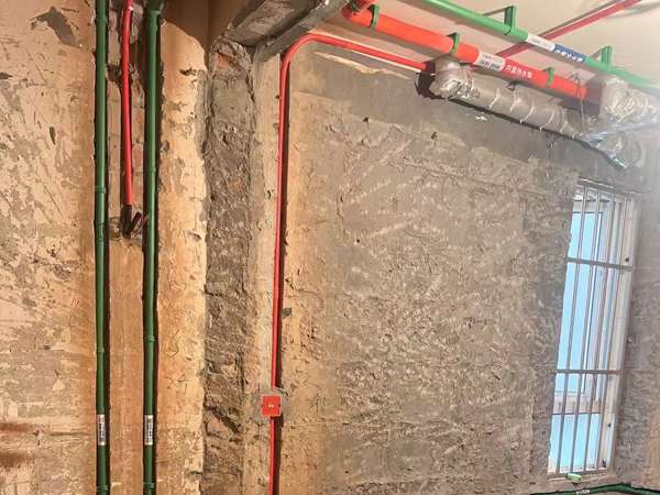 在庐山晒太阳的烤串