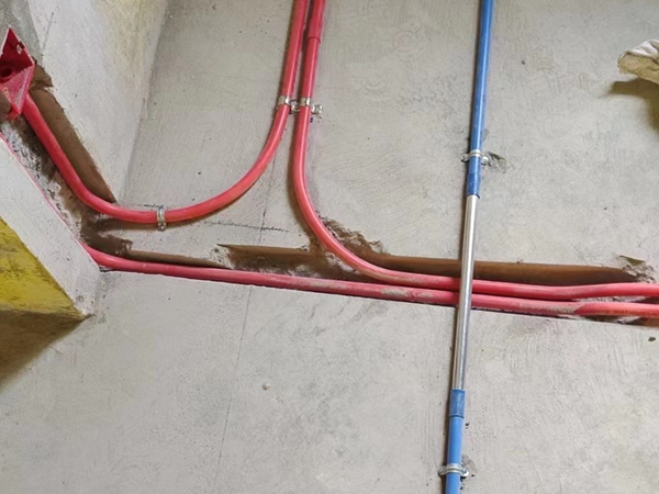 美好专业咚咚牛