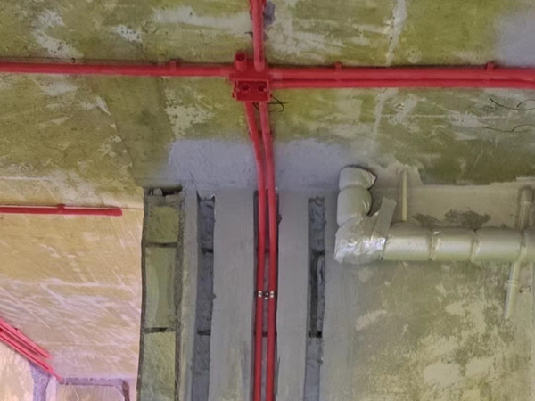 美好专业咚咚牛