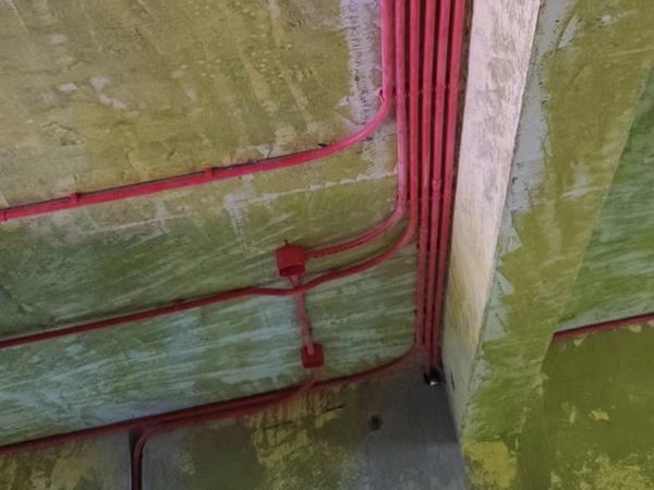 美好专业咚咚牛