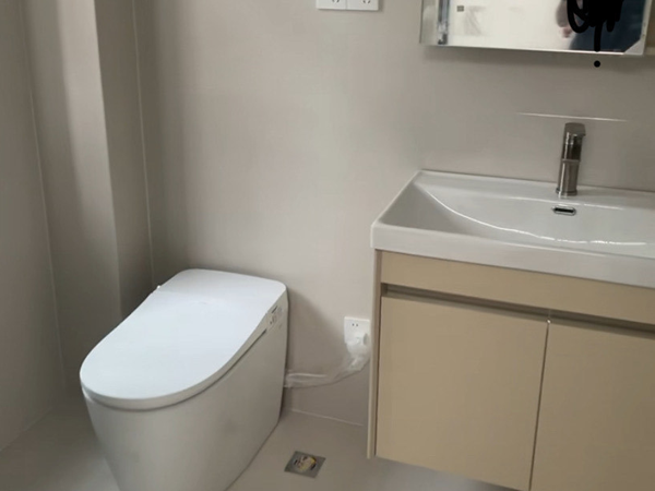 清雅有趣呜咽猫