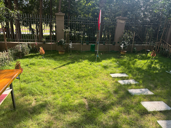 流逝的回忆已成空白_2554