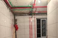 有爱纯洁呼噜豹